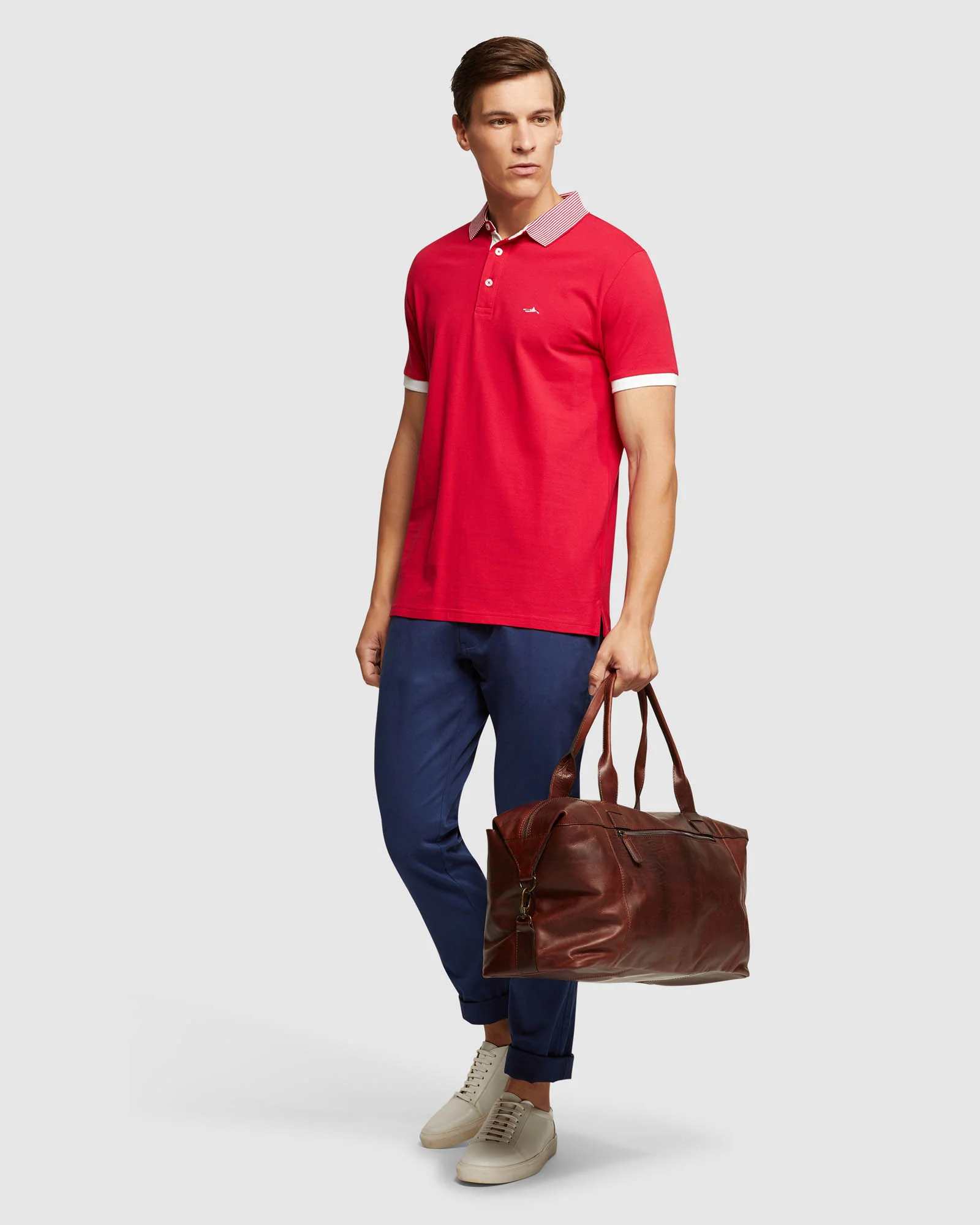 Dylan Striped Collar Pique Polo - Image 13