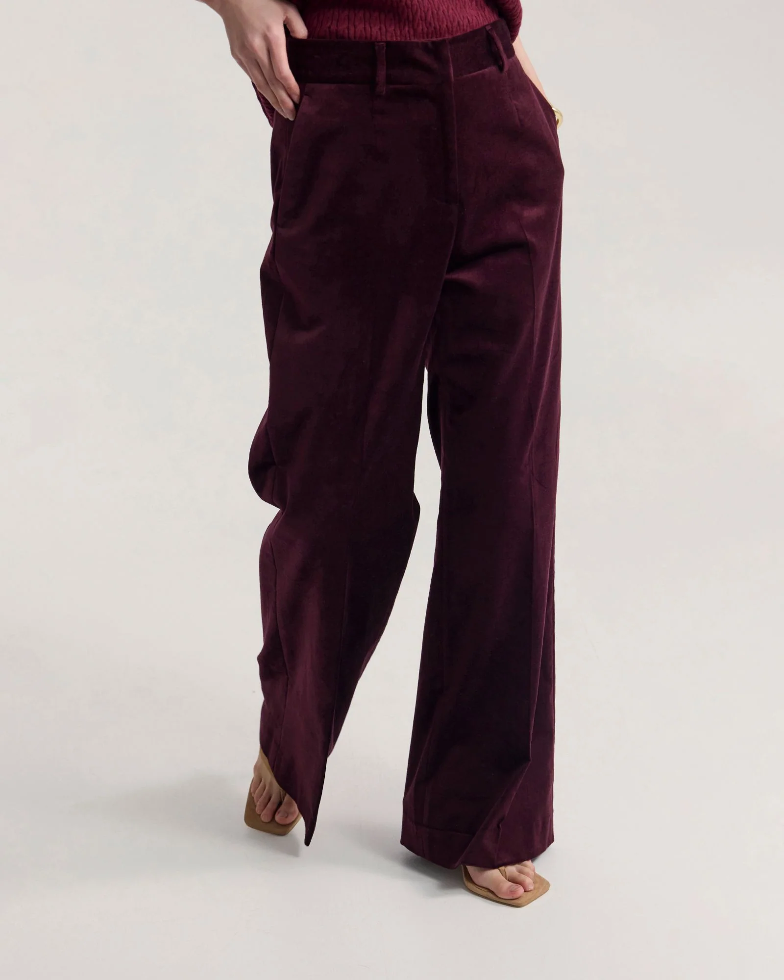 Lydia Velvet Pants - Image 12